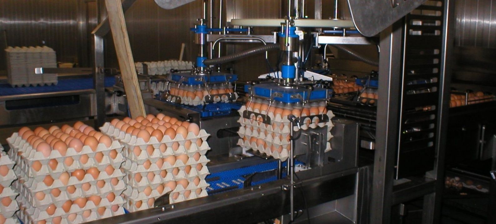 Carousel egg transport with Stober servo systems ATB Automation