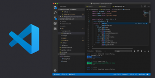 Visual Studio Code Editing