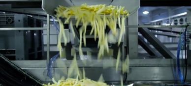 Degreasing oscillator French fries with Rosta