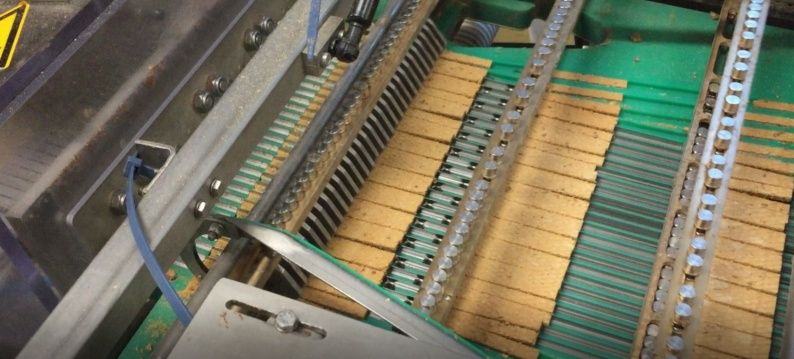 Slider1 productie en snijden biscuits